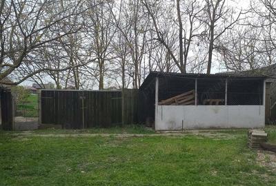 Casa cu teren 2877.mp la 27 km de Timi?oara Casa cu teren 2877.mp la 27 km de Timi?oara - 2