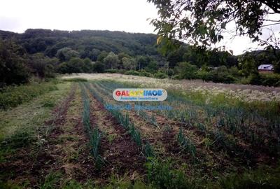 Teren intravilan comuna Bogati sat Birloi Jud. Arges - 9