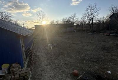 Casă cu 4 camere cu Teren 5000 Mp în Scărișoara - 2