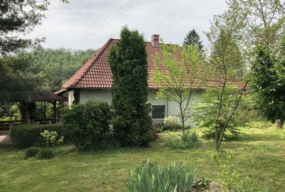 Casa de vanzare langa Castelul Regal Savarsin - 4