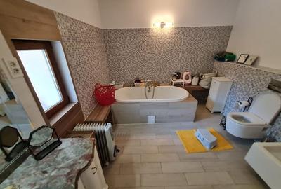 Casa solida in zona Bogdanestilor - 29
