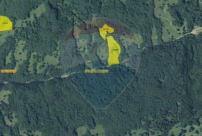 Teren 5500 mp, Valea Sasului, sat Dalghiu, com Vama Buzaului - 7