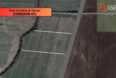 COMISION 0% Teren extravilan de vanzare in Sacalaz - 2