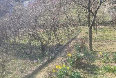 Casă cu 3 camere cu Teren 540 Mp în Central - 7