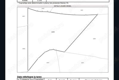 Casă cu 4 camere cu Teren 2650 Mp în Țârdenii Mari - 6