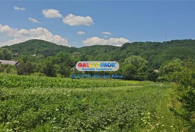 Teren Construcții intravilan de 12765 mp, în Bogați - 2