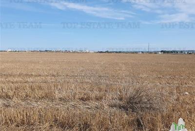 Teren Techirghiol Teren Techirghiol - 4