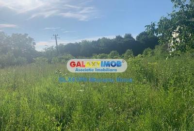 Teren Construcții intravilan de 1193 mp, în Păulești - 5