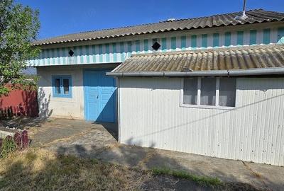 Casă cu Teren 962 Mp în Carasa - 5
