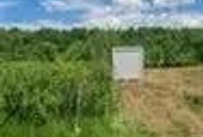 Teren de 2500 mp, în Porumbacu de Sus - 4