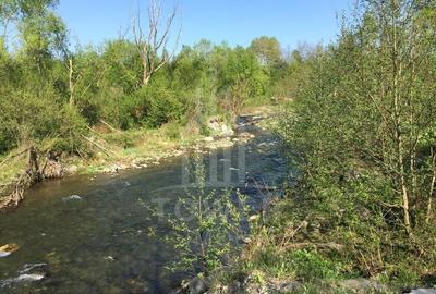 Teren de vanzare în reprezentare exclusivă, situat pe Valea Avrigului! - 9