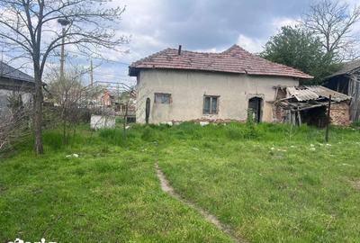 Casă cu 3 camere cu Teren 2504 Mp în Teasc - 1