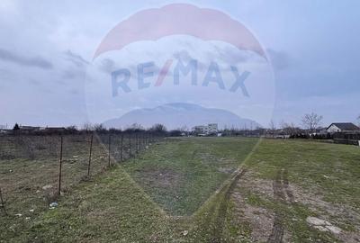 Spațiu comercial, în Alexandriei - 2