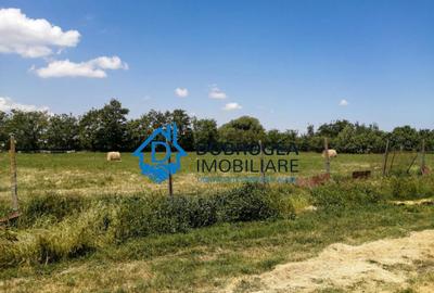 TEREN EXTRAVILAN - ZONA ZAGAN, IN APROPIEREA FOSTULUI ABATOR - 6