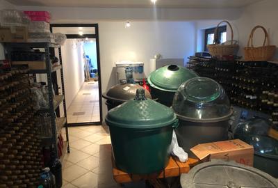 Vila pretabila Locuit/Afacere, S+P+1E+M, 450 mp, teren 800 mp - 21