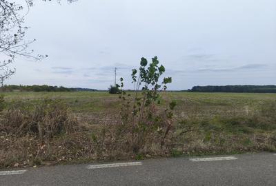 Teren extravilan 9113 mp in apropierea drumului E85 - 4