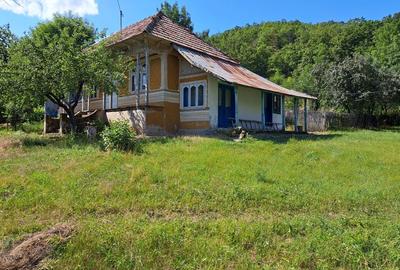 Casă cu 4 camere în Răchitoasa - 1