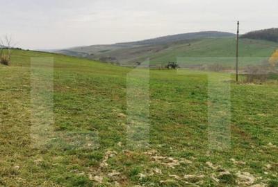 Investitie ! Casa individuala 1 camera, 51 mp, 3000 mp teren - 1