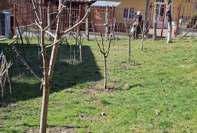 Casă cu 2 camere în Dâmbul Rotund - 2