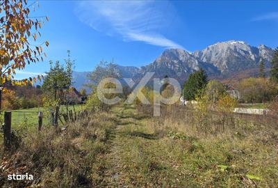 Spațiu comercial, în Sud - 4