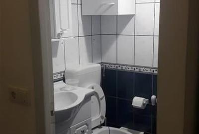 Inchiriere  garsoniera, 25 mp,  situata la demisol, zona Grivitei - 11