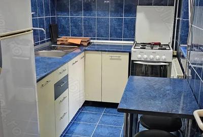 Inchiriere ap 1 camera Lipovei - 2