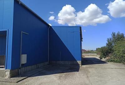 HALA ideala pentru PRODUCTIE ALIMENTARA, Poiana, Ovidiu - 827 mp, teren 4066 mp - 10