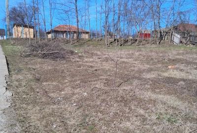 Spațiu comercial, în Muntenii de Jos - 3