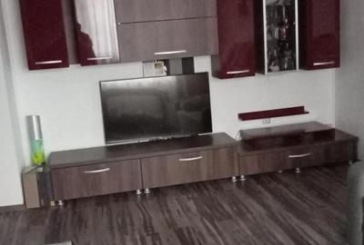 Apartament cu 2 camere semidecomandat în Săsar - 5