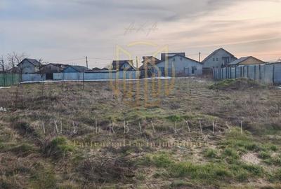 Teren Construcții intravilan de 306 mp, în Berceni