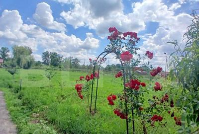 Casa superba in Tinca, 225 mp, 20 ari luciu de apa, teren fo - 1