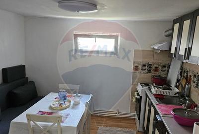 Casa 100 mp utili Adunatii Copaceni - 2