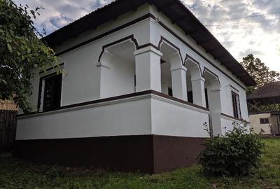 Vand proprietate in suprafata totala de 4283 mp in comuna Cotmeana - 11