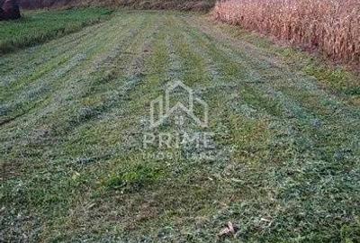 Teren de 708 mp, în Cricău