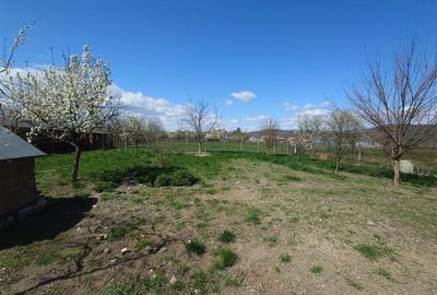 Casă individuală cu 4 camere cu Teren 3892 Mp în Baia de Criș - 19