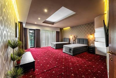 Inchiriere Vila cu LIFT / Pretabila AZIL/ SPITAL / CLINICA / REZIDENTIAL - 18