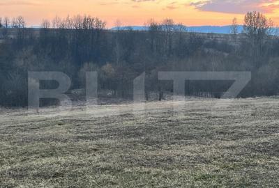 Teren de 27759 mp, în Horodnic - 6