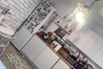 Apartament 2 camere de vanzare  Gorjului - 4