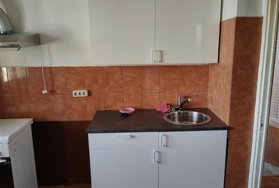 Inchiriere Apartament 2 Camere Decomandat Pta. Sudului - 7