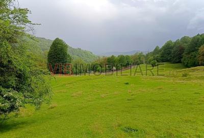 Teren de vanzare Breaza – Nistoresti, Str. Muresului - 3