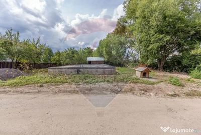 Teren de 800 mp, în Baciu - 5