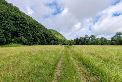 2,64 Ha TEREN SUPERB pe malul raului Crisul Repede padure parau NEGRENI - CLUJ - 7