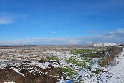 Teren de 10900 mp, în Băleni - 4