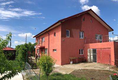 Vila in Bulbucata, Giurgiu, sat Teisori - 14