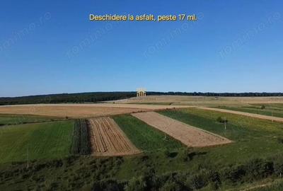 Teren de 1295 mp, în Mitocu Dragomirnei - 2