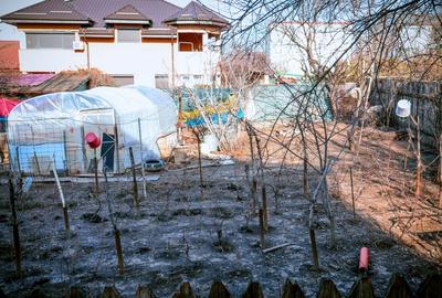 Teren Construcții intravilan de 293 mp, în Băneasa - 2