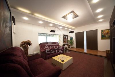 Vilă individuală premium,Dumbravita zona centrala - 25