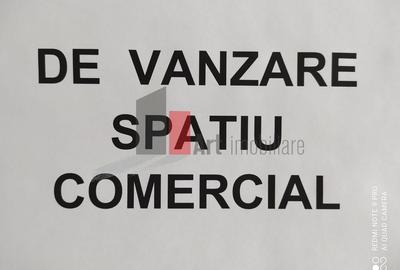 Spatiu comercial Gara de Nord, 108 mp, trafic pietonal si auto - 3