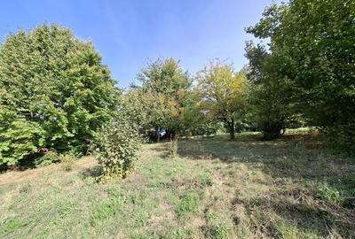 Comision 0. Teren cu autorizatie de construire in Salicea Comision 0. Teren cu autorizatie de construire in Salicea - 4