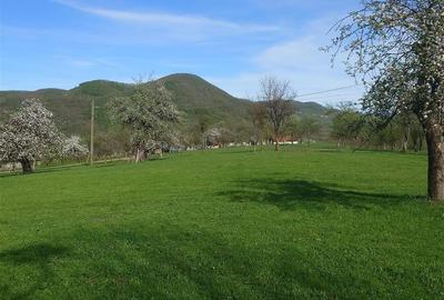 Teren Intravilan  in Luncoiu de Jos, Jd Hunedoara - 6
